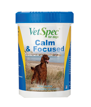 product-_0001s_0005_VetSpec-Calm-&-Focused-500g