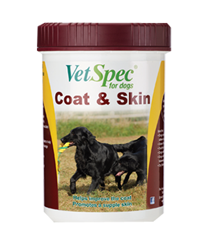 product 0001s 0004 VetSpec Coat Skin 500g