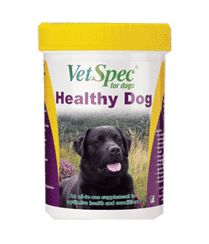product-_0001s_0003_VetSpec-Healthy-Dog-500g